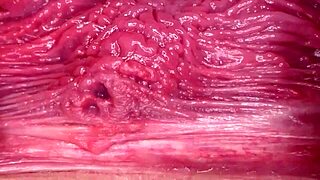 time to breed this shaved squirting big ass?