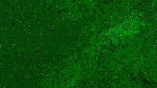 crazy 18yo pees panties on public beach then sunbathes wet 😜💦