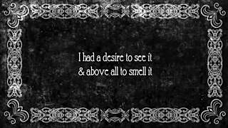 Hairy Beaver Exposed In Vintage Retro Pussy Play