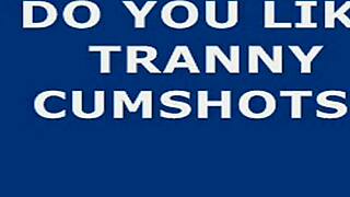 shemale strokes monster cock to hot webcam cumshot explosion