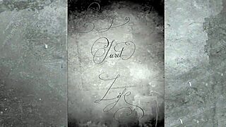 Hairy Beaver Exposed In Vintage Retro Pussy Play