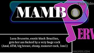 Luna's exotic black brazilian ass destroyed by monster cock anal