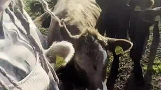 Happy Hippie Girl Chats With Cows And Craves You