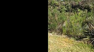 hey watch this trashy milf piss roadside as cars zoom by