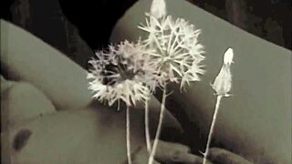 Victorian Gentleman's Erotic Hairy Pussy Confessions Revealed!