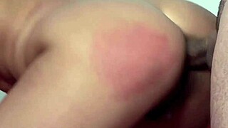 crazy chix savannah secret bound librarian fucked hard 😵‍💫