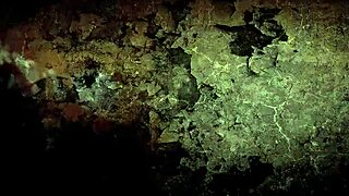 vintage erotic drawings capture hairy retro passion beautifully