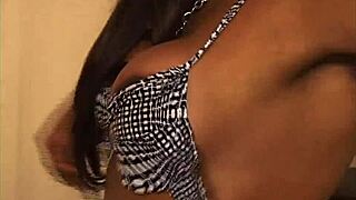 Isn't shemale nation 6 the best transsexual group fuck ever?