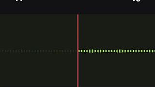 Ever heard this Argentinian neighbor's spying moans up close?