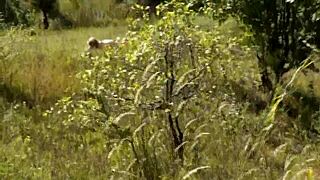 A pervert spots beautiful sexy blonde sunbathing naked on wild beach and jerks off publicly.
