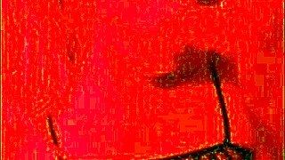 Amateur housewife slut shakes big ass in fishnets licks dirty homemade submissive fun