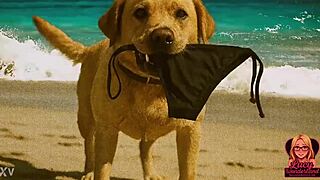 lucy's naked beach adventure turns intriguing