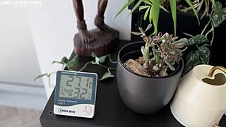 Muslim Aaliyah Yasin Caught By Housemate! Cum Facial Sloppy Swallow!