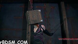 Babe's pussy takes brutal pounding in wild sucking contest game