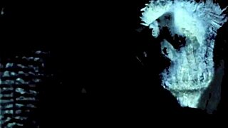 uhh dark lantern's got two centuries of hairy milf beaver blowjobs n fuckin retro style yknow