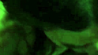 romantic sexo with new milf wife nora in long stockings rough amateur