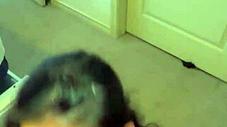 Savage asian dress babe slurps sloppy blowjob begs doggystyle creampie