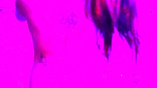 brazilian babe caught in bath gets forced deepthroat and fuck