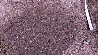 best outdoor pissing streams in hot amateur compilation 💦🌳