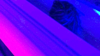 brazilian babe caught in bath gets forced deepthroat and fuck