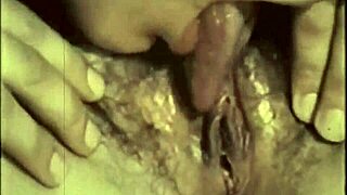 i uncover vintage lesbians hairy beavers in secret retro play