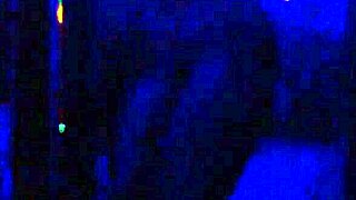 Ebony Lingerie Strip Turns Public Outdoor Rip Wild