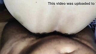 Meti pica no engravatado enchi leite escritório arregaçado?