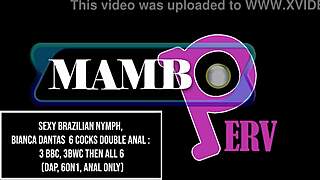 bianca dantas sexy brazilian nymph takes 6 cocks double anal 3 bbc 3 bwc dap huge gapes