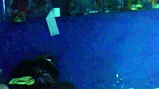 Fiesta Neighbor Fuck Escapade with Blonde Mexican Kisses