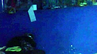 Fiesta Neighbor Fuck Escapade with Blonde Mexican Kisses