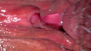 a virgin wife takes cock first time at christmas... so wet and shaved