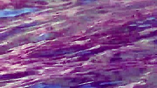 gostosa japonesa caught banging bbc outdoors on paradise island 😍🏝️🍆