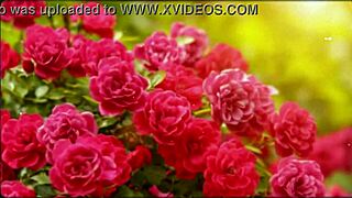 bangla couple shares emotional romantic sex story part 2