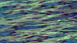 gostosa japonesa caught banging bbc outdoors on paradise island 😍🏝️🍆