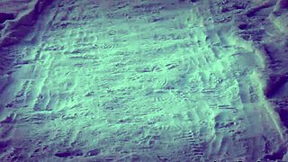 after table pussy lick does emily c deserve that creampie?