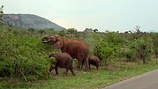 black girlfriend's pussy hammered hard by huge white cock pov