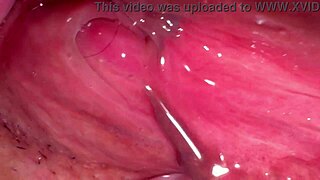 check out this amateur asian wife's shaved pussy 172 days post virginity loss