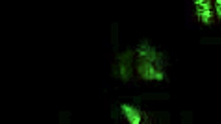 secret erotic vintage life... world's hottest silent movies! 🎥💋