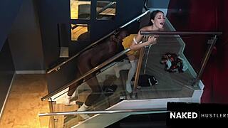 i broke rules fucking head cheerleader's tight pussy doggy