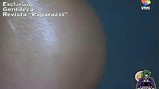 Pamela david caught in paparazzi 2 remastered milf action