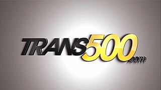 want this frisky shemale's big cock in your ass?