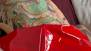 Bunny hunts big Easter carrot and gets stuffed deep