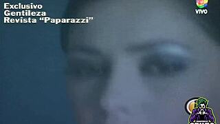 Pamela david caught in paparazzi 2 remastered milf action