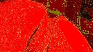 he pins her face down pounding that transman pussy close up relentlessly