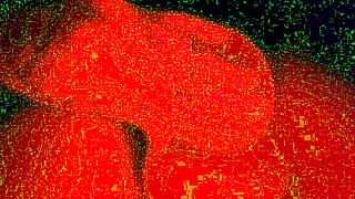 he pins her face down pounding that transman pussy close up relentlessly