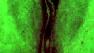 pussy all swollen up after that rough pounding fuck 😩💦