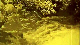 vintage erotic art captures timeless sensual beauty