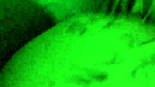 Sherytiffany Tranny Bareback Anal Doggy Colombian Shemale