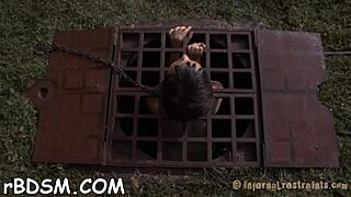 bound couple endures hardcore bdsm spanking domination rough fucking blowjob session