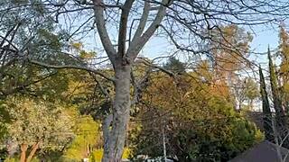 my first public flashing vid petite milf blue eyes outdoors